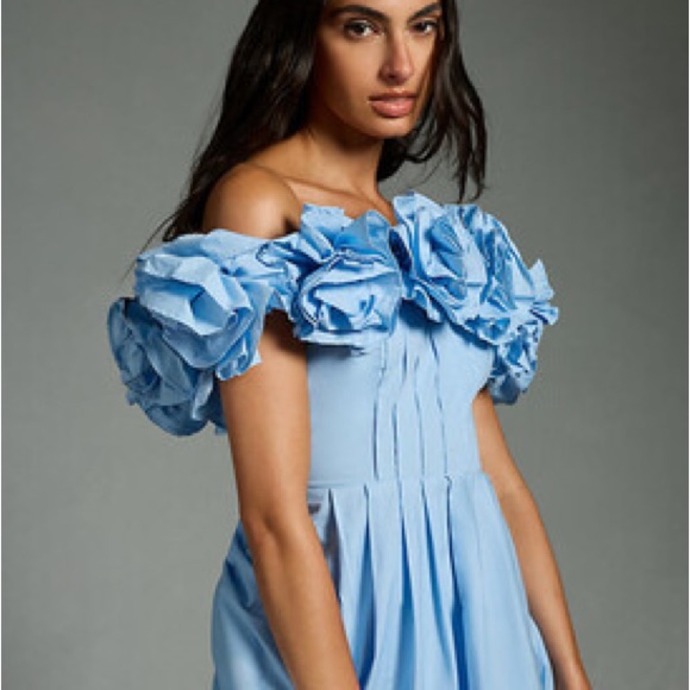 Maeve Corina Dress size XS Petite Anthropologie